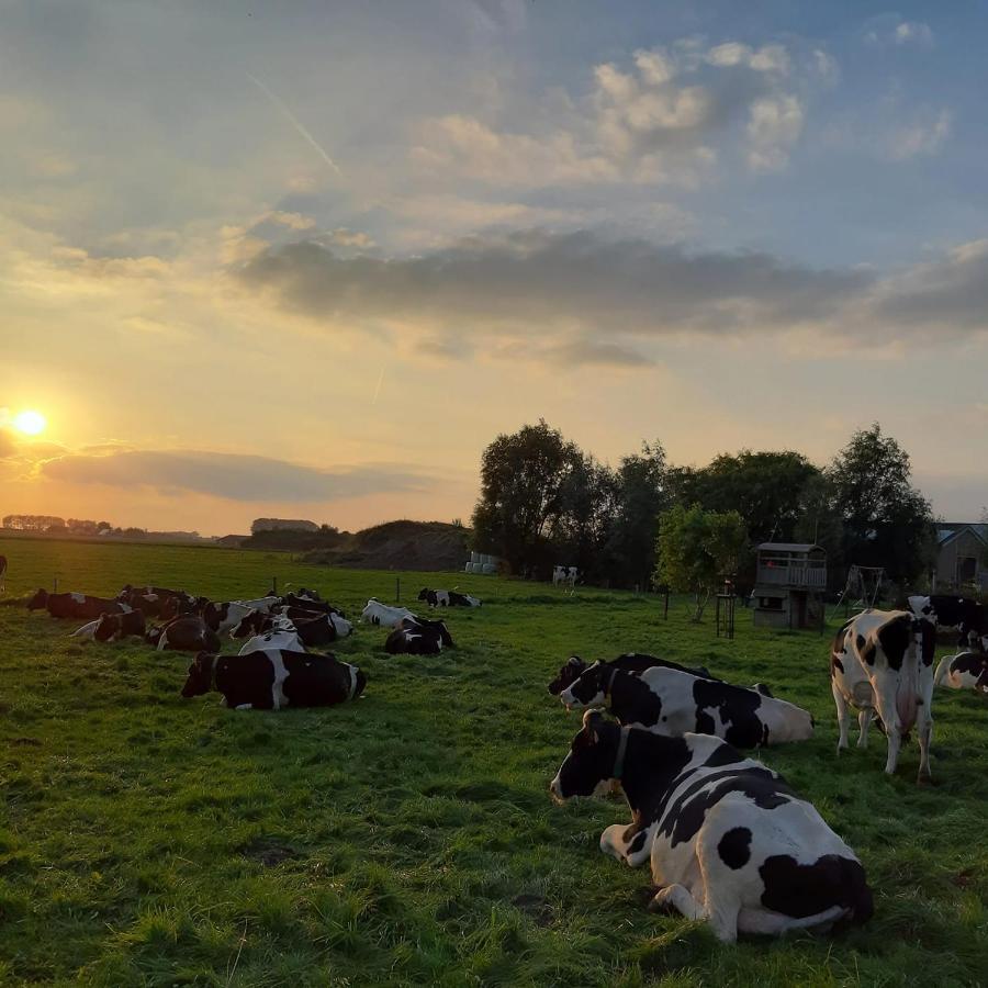 B&B De Hemelse Polder Sint-Laureins Zewnętrze zdjęcie